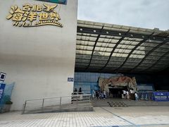 -合肥海洋世界