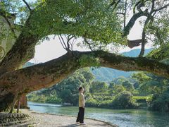 -上坦村