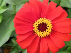 -长春公园(普阳街道)