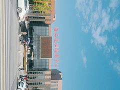 -杭州湾海上花田景区