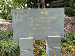 -江心屿景区