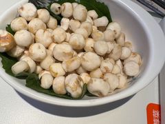 -烹然四季椰子鸡火锅(姚家园万象汇店)