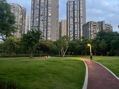 -重庆彩云湖湿地公园