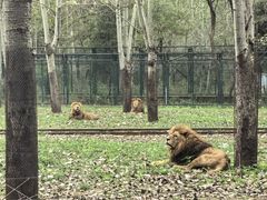 -秦皇岛野生动物园