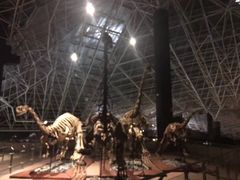 -世界恐龙谷景区