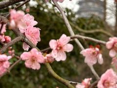 -浙江西子宾馆·瑶园咖啡厅