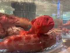 -顺风山庄(水濂山店)