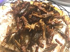 炸蚱蜢-五邑人家(江门店)