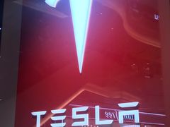 -TESLA 特斯拉(广州天环广场体验店)