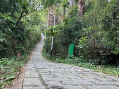 -水濂山森林公园