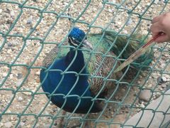 IMG_1371-南京金牛湖风景区