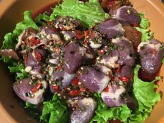 -龍歌自助小火锅(崂山丽达店)