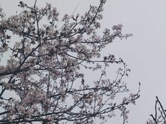 -杭州电子科技大学(下沙校区)