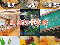 -豆豆冰室·地道招牌椰子冻(大良店)