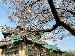 -武汉大学-樱园