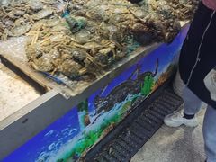 -桃源市场(解放路店)