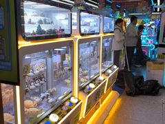 -风云再起游乐汇(北京西单西西友谊店)