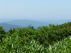-凤凰山国家森林公园