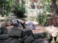 -费瑟代尔野生动物园