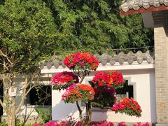 -广州市白云山风景名胜区