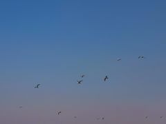 -丁香湖公园