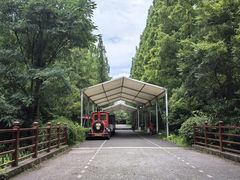 -东平国家森林公园