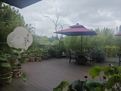 -荷风细雨·中国茶宴(世纪大道店)