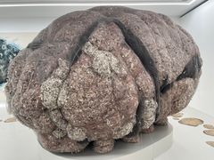 -大田秀则画廊