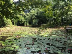 -华南国家植物园-售票处