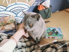 -泰国佛·塔罗·泰牌狐仙古曼