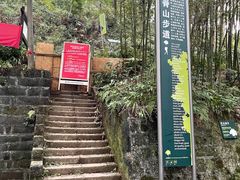 -南山植物园