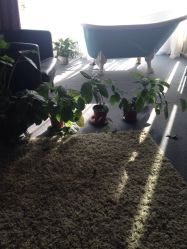 -梵初·STUDIO婚纱摄影(通州万达店)