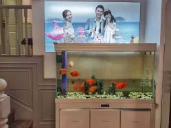 -非常六加一儿童摄影(同安店)