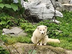 -杭州野生动物世界