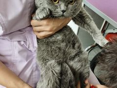 -宠颐生动物医院·心脏科·保险定点(锦阳分院)