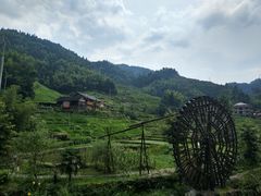 -紫鹊界梯田景区