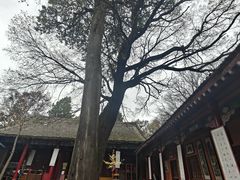 -少华山国家森林公园