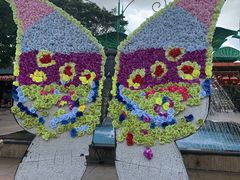 -松山湖梦幻百花洲