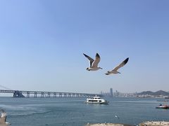 -星海广场