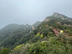 -大岭沟猕猴桃谷风景区