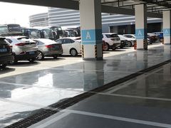 -上海海昌海洋公园-停车场