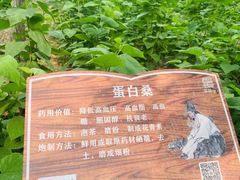 -草根堂农场
