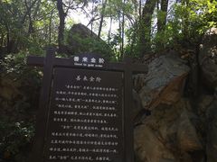 -阳台山自然风景区