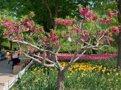 -廊坊文化艺术中心