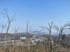 -青龙山国家森林公园