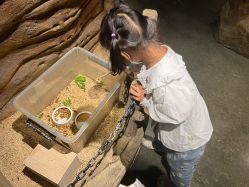 -造物庄园 萌宠纪(苏州湾歌林公园店)