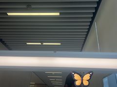 -杭州滨江区图书馆科技分馆