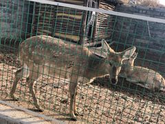 -清风小镇闯关东影视基地