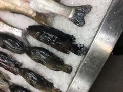 -莆鑫海鲜城(浏河店)