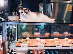 -咖法森林·咖啡  酒吧(天河店)